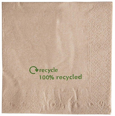  Gastronoble Recycelte Bio-Servietten 2-lagig 