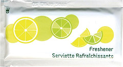  Gastronoble eGreen gro&szlig;e Erfrischungst&uuml;cher (500 St&uuml;ck) 