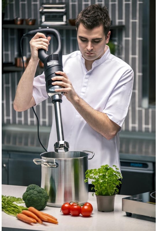  Gastronoble Stabmixer mit variabler Geschwindigkeit und 500-mm-Stab 