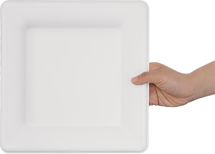 Fiesta Green kompostierbare Teller aus Bagasse quadratisch 26,1cm (50 St&uuml;ck) 