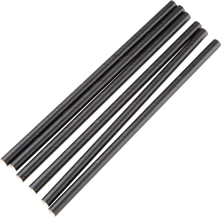  Fiesta Compostable kompostierbare einzeln verpackte Papierstrohhalme 14cm schwarz (250 St&uuml;ck) 