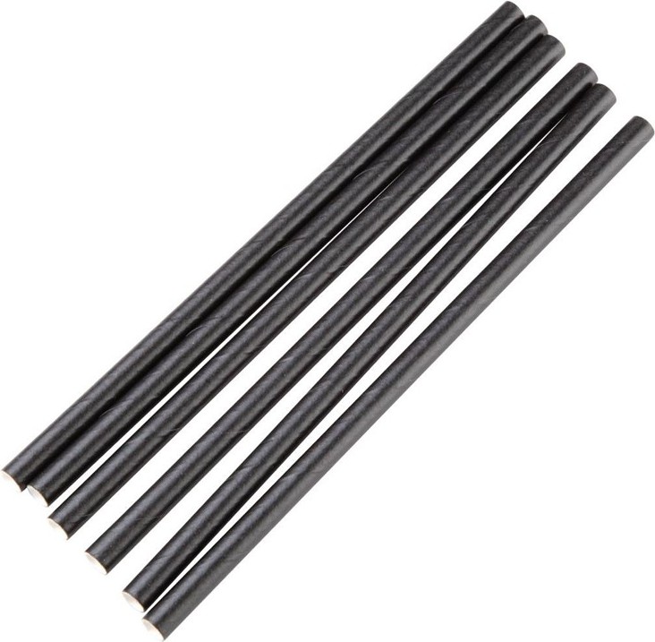  Fiesta Compostable kompostierbare einzeln verpackte Papierstrohhalme 14cm schwarz (250 St&uuml;ck) 