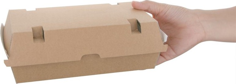  Fiesta Green kompostierbare Men&uuml;boxen mit Klappdeckel aus Kraftpapier gro&szlig; 204mm (100 St&uuml;ck) 