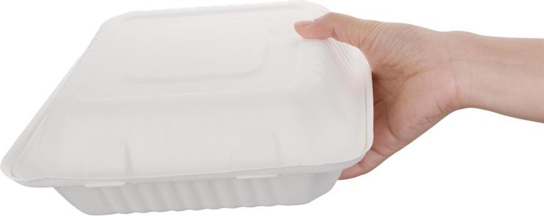  Fiesta Green kompostierbare Men&uuml;boxen aus Bagasse mit Klappdeckel 23,6cm (200 St&uuml;ck) 