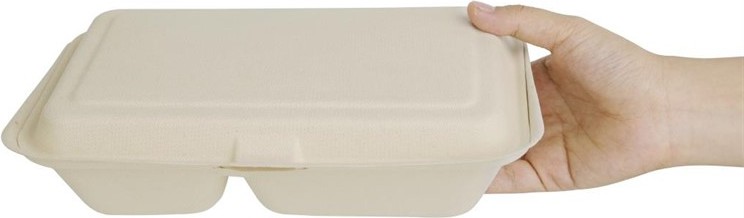  Fiesta Green kompostierbare Bagasse Lebensmittelboxen 2 F&auml;cher Naturfarbe 253 mm (200 St&uuml;ck) 