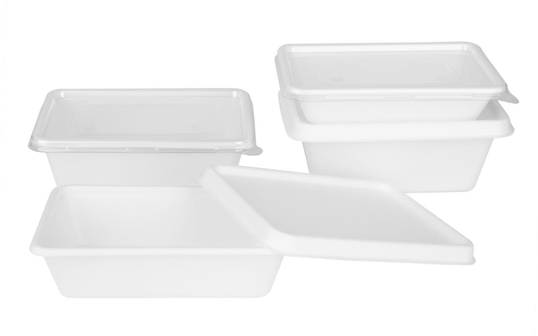  Fiesta Recyclable Fiesta Recycelbare PET-Deckel f&uuml;r Bagasse-Beh&auml;lterbasen (100 St&uuml;ck) 
