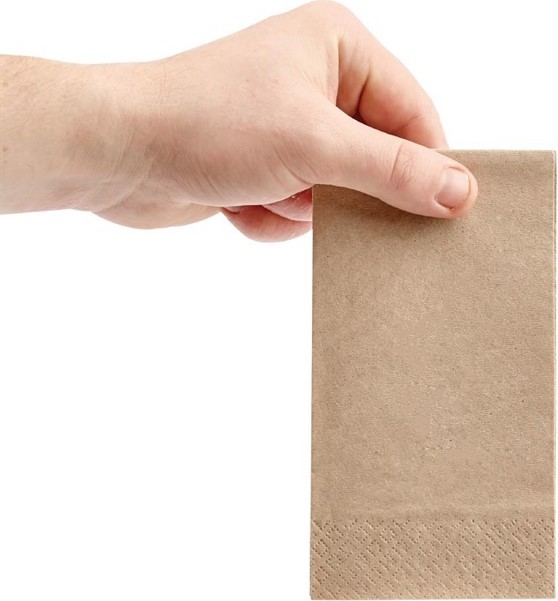  Fiesta Lunchservietten 1/8 recyceltes Kraftpapier 33cm (2000 St&uuml;ck) 